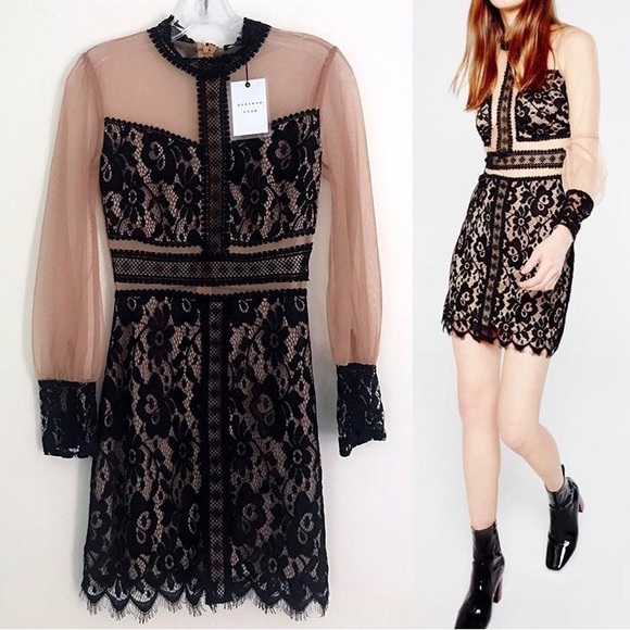 endless rose black dress