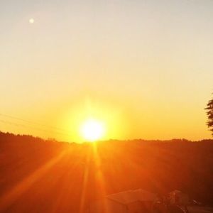 Meet your Posher, Claudia