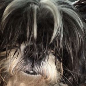 Meet your Posher, Richie