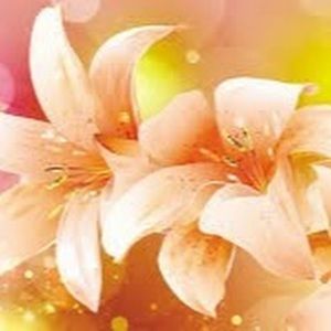 Meet your Posher, Gisselle