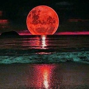 Meet your Posher, Marian