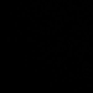 Meet your Posher, Erick