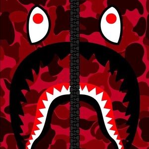 Meet your Posher, Owen