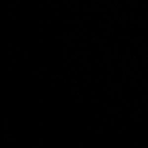 Meet your Posher, Britney