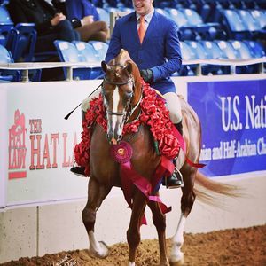 Meet your Posher, Justin