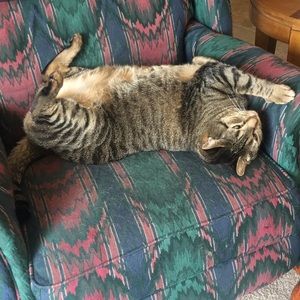 Meet your Posher, Jay