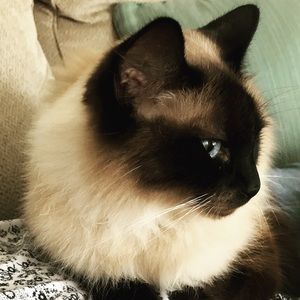 Meet your Posher, Lori