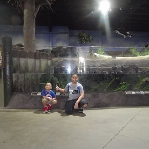 Meet your Posher, Flowers