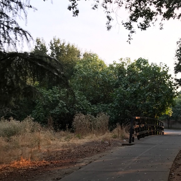 Meet your Posher, Sophal - Picture 1 of 1