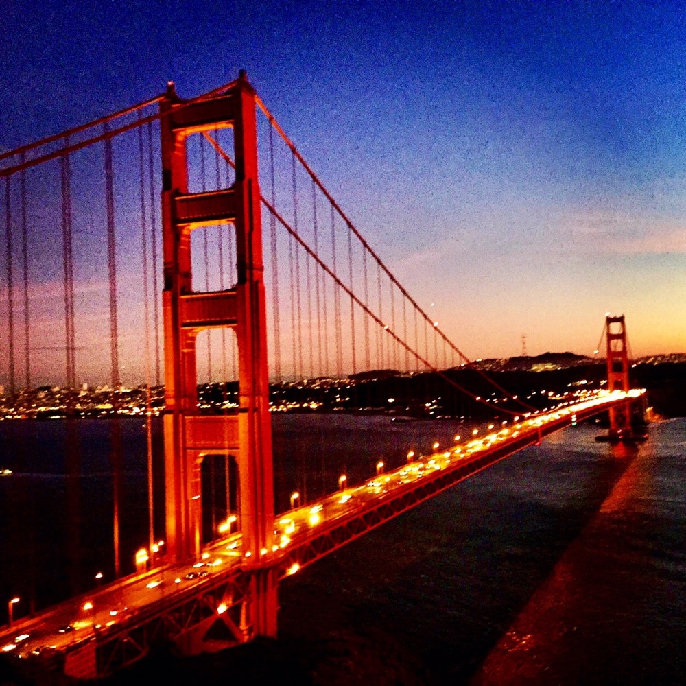 Meet your Posher, Sylvia