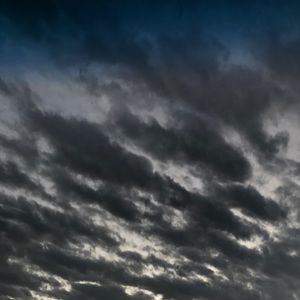 Meet your Posher, Carlos