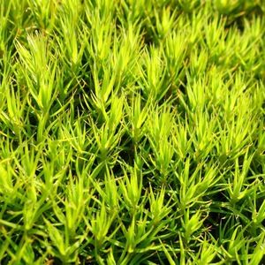 Meet your Posher, Ethan