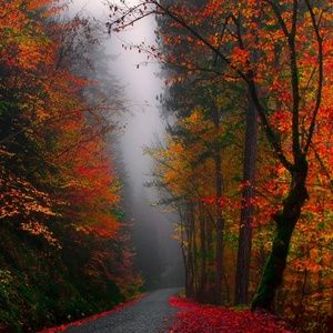 Meet your Posher, Kay