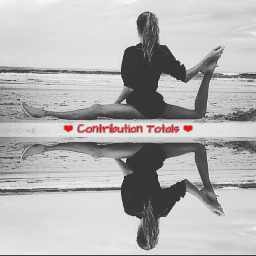 Contributions made to Causes in honor or Mickey