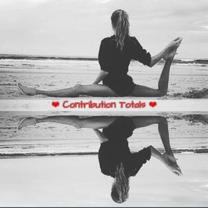 Contributions made to Causes in honor or Mickey