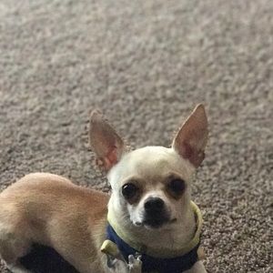 Meet your Posher, Julian