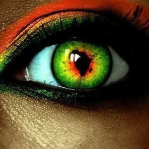 Meet your Posher, Jane