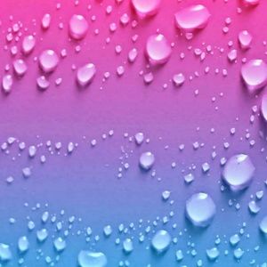 Meet your Posher, Rae