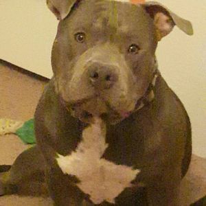 Meet your Posher, Kat