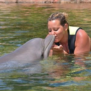 Meet your Posher, Just