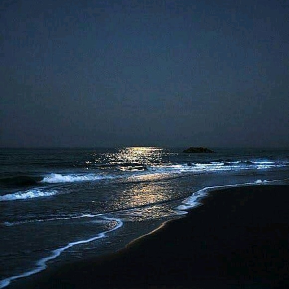 Meet your Posher, Geraldine - Picture 1 of 1