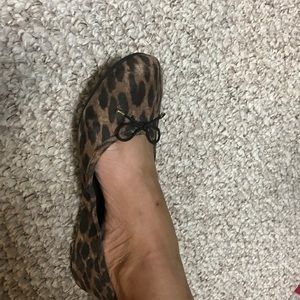 Loft Flynn Ballet flat