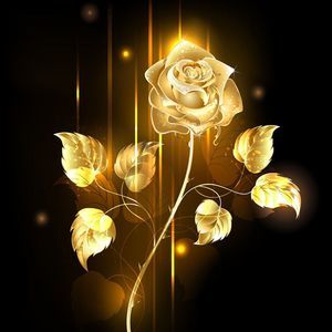 Meet your Posher, Jerlene