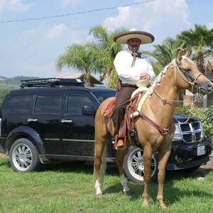 Meet your Posher, Abel