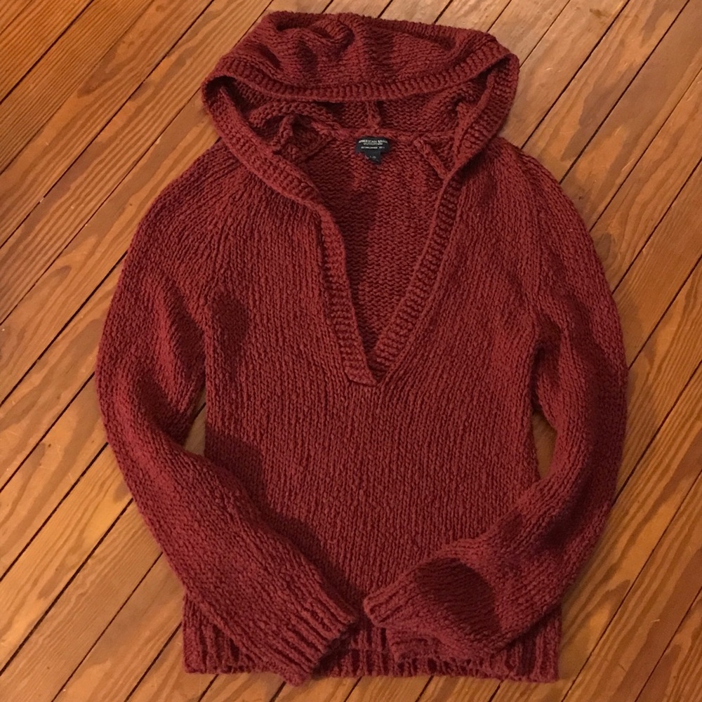 American Eagle Outfitters Knit Hooded Sweater