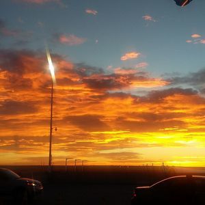 Meet your Posher, Sonja