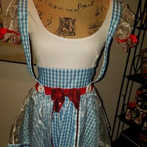 Dorothy costume