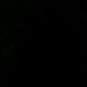 Meet your Posher, Sherry