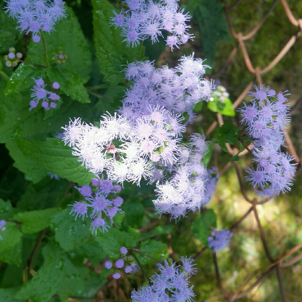 Meet your Posher, Gina