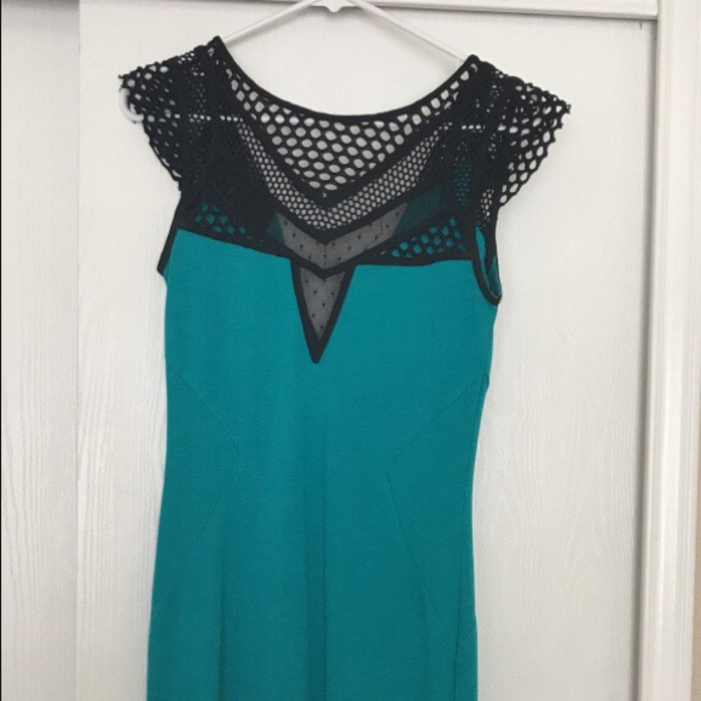 LONG BUFFALO DAVID BITTON DRESS