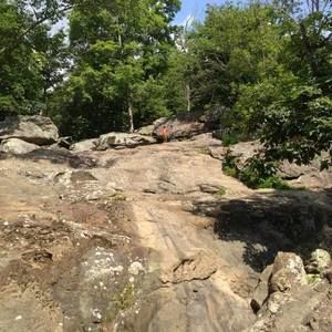 Meet your Posher, Brant