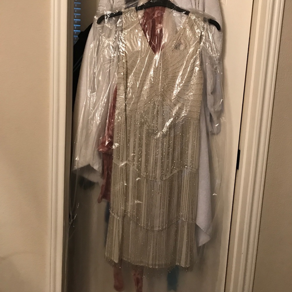 Unique Vintage 1920s Flapper Dress SHOW STOPPER