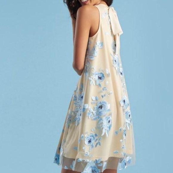 Embroidered sleeveless dress - Picture 2 of 6