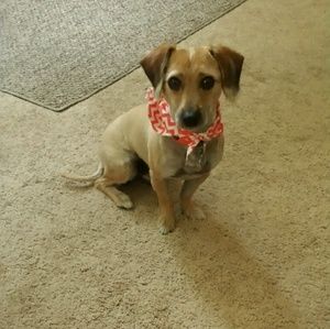 Meet your Posher, Kenyatta