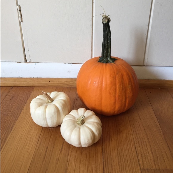 Happy Fall! - Picture 1 of 1