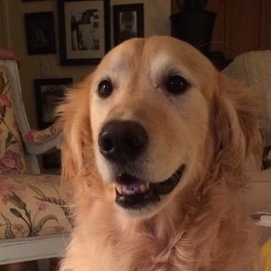 Meet your Posher, Gianna