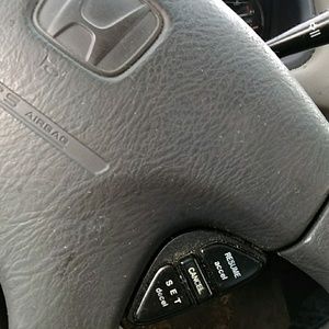 Meet your Posher, Bruce