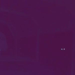 Meet your Posher, Elisha