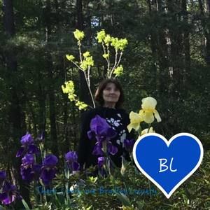 Meet your Posher, Aris