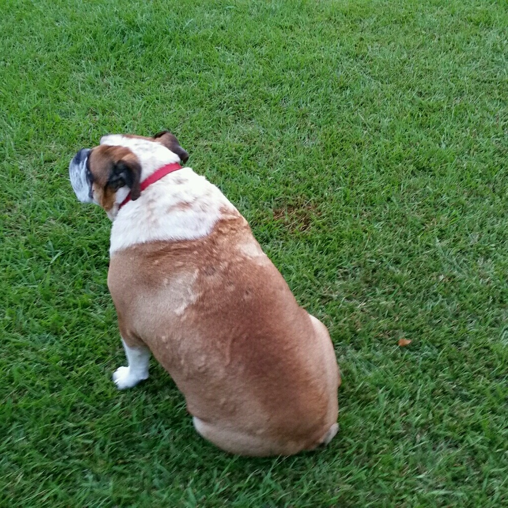 Meet your Posher, Teresa