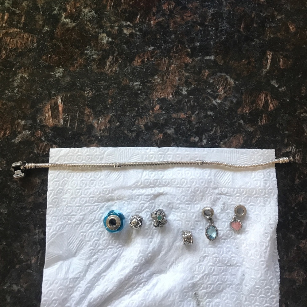 Pandora bracelet and charmsComment for individual