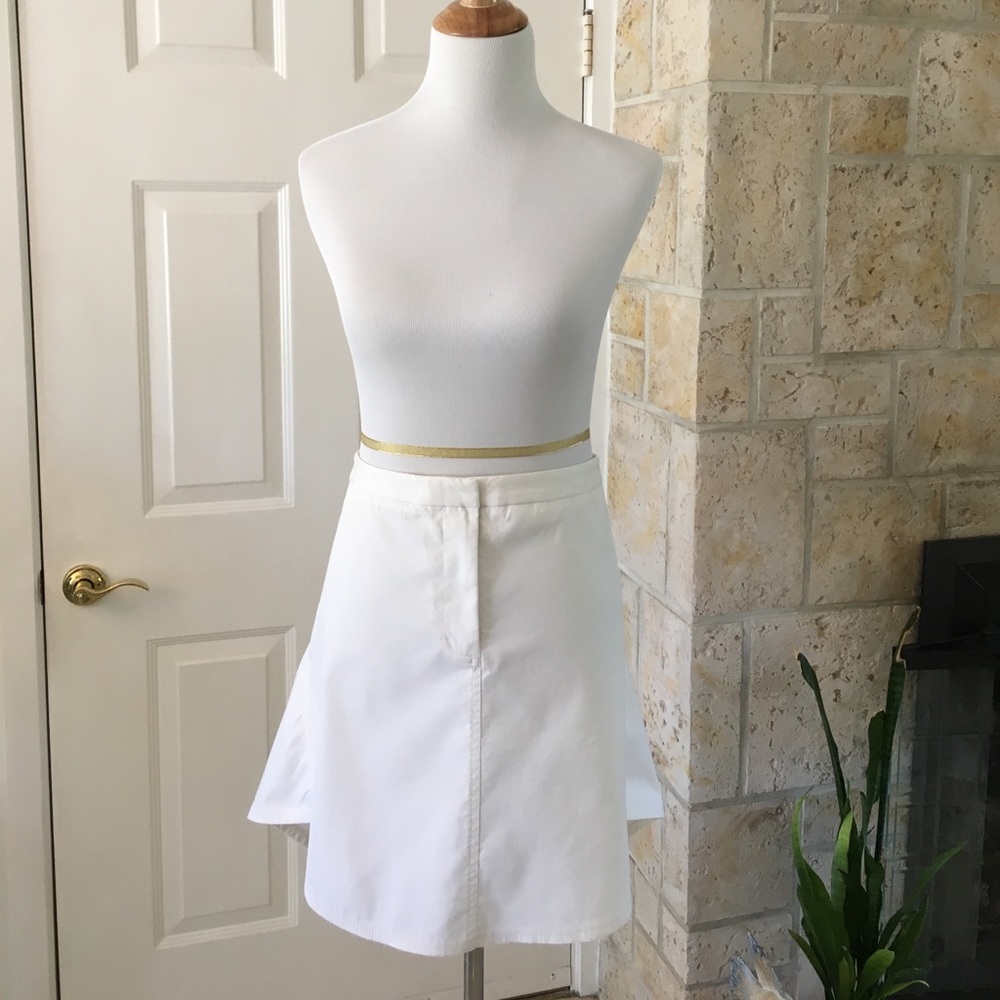 3.1 Phillip Lim Skirt