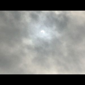 Meet your Posher, Albert