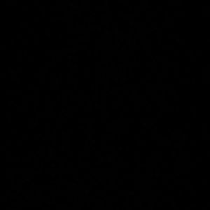 Meet your Posher, Shaina