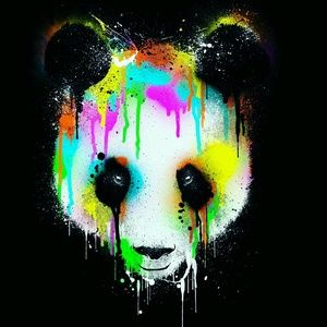 Meet your Posher, Rashad