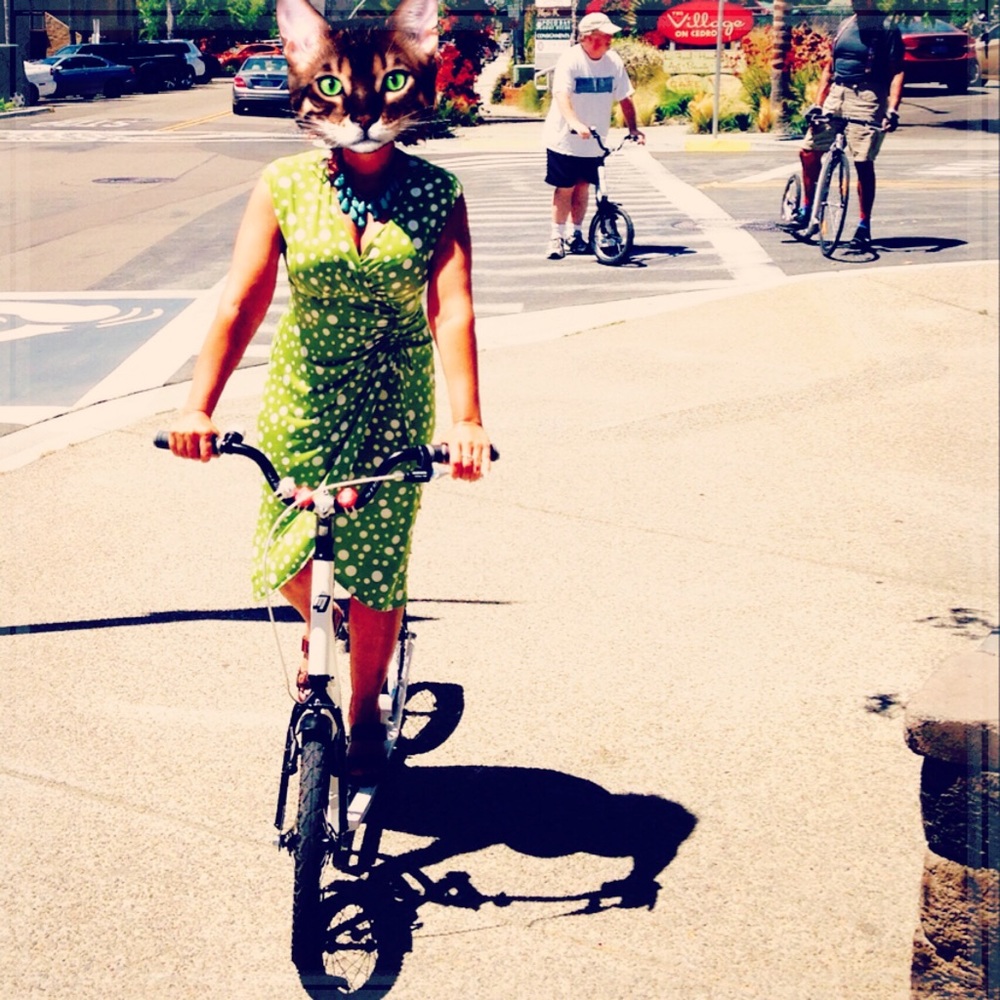 Meet your Posher, Lissa